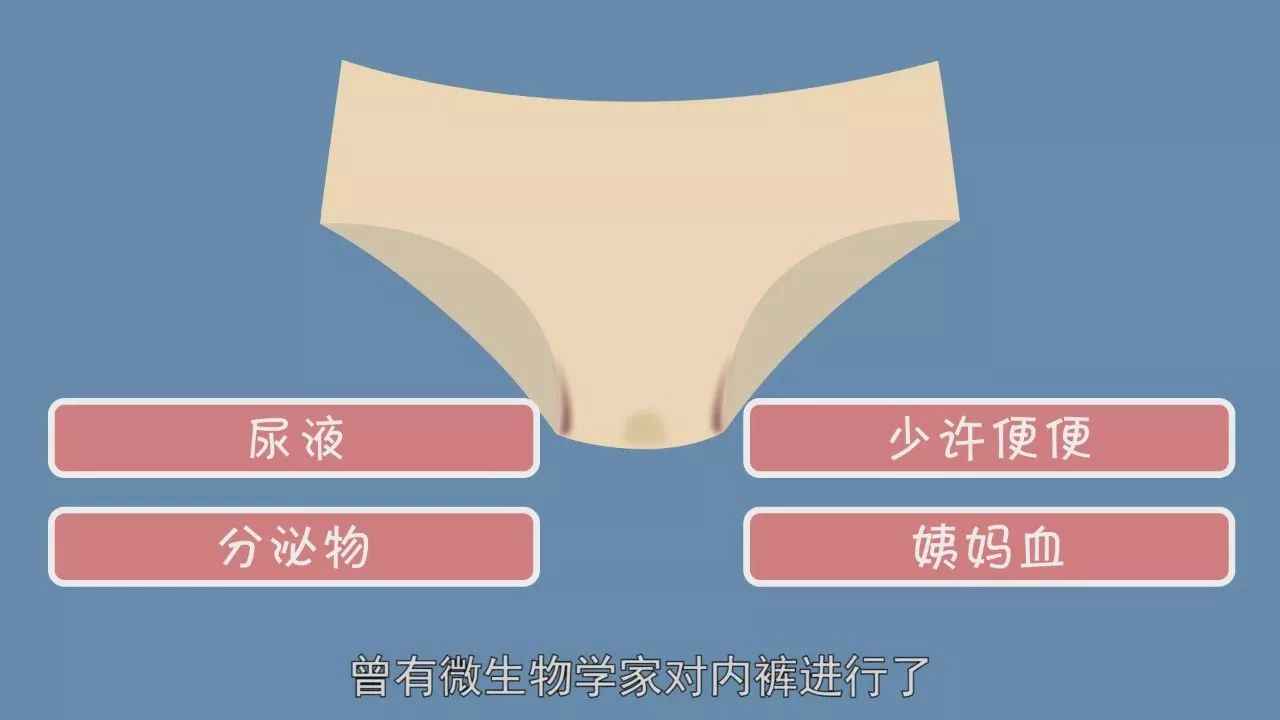 女生内裤上分泌物蓝色图片