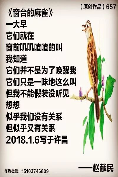 冰心写动物的诗歌图片