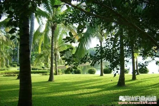 園-玩轉佛山祖廟-興隆熱帶植物園-分界洲島7日遊招募貼,走遍中國前