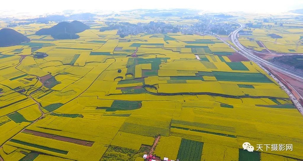 2018年2月24日元陽元謀土林東川紅土地羅平油菜花攝影創作團期待您的