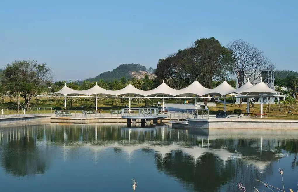 坪山山多水美 免費的景點也不少 聚龍山生態公園 全國最大的溼地公園