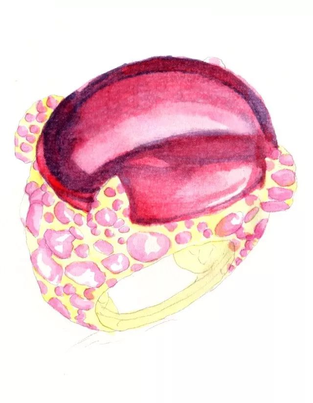 红宝石首饰手绘图(红宝石珠宝首饰图片)