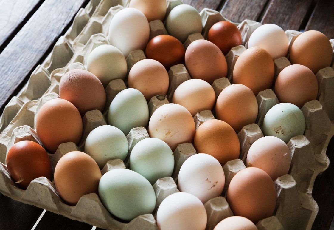 白皮鸡蛋和红皮鸡蛋到底有什么区别哪一种更有营养