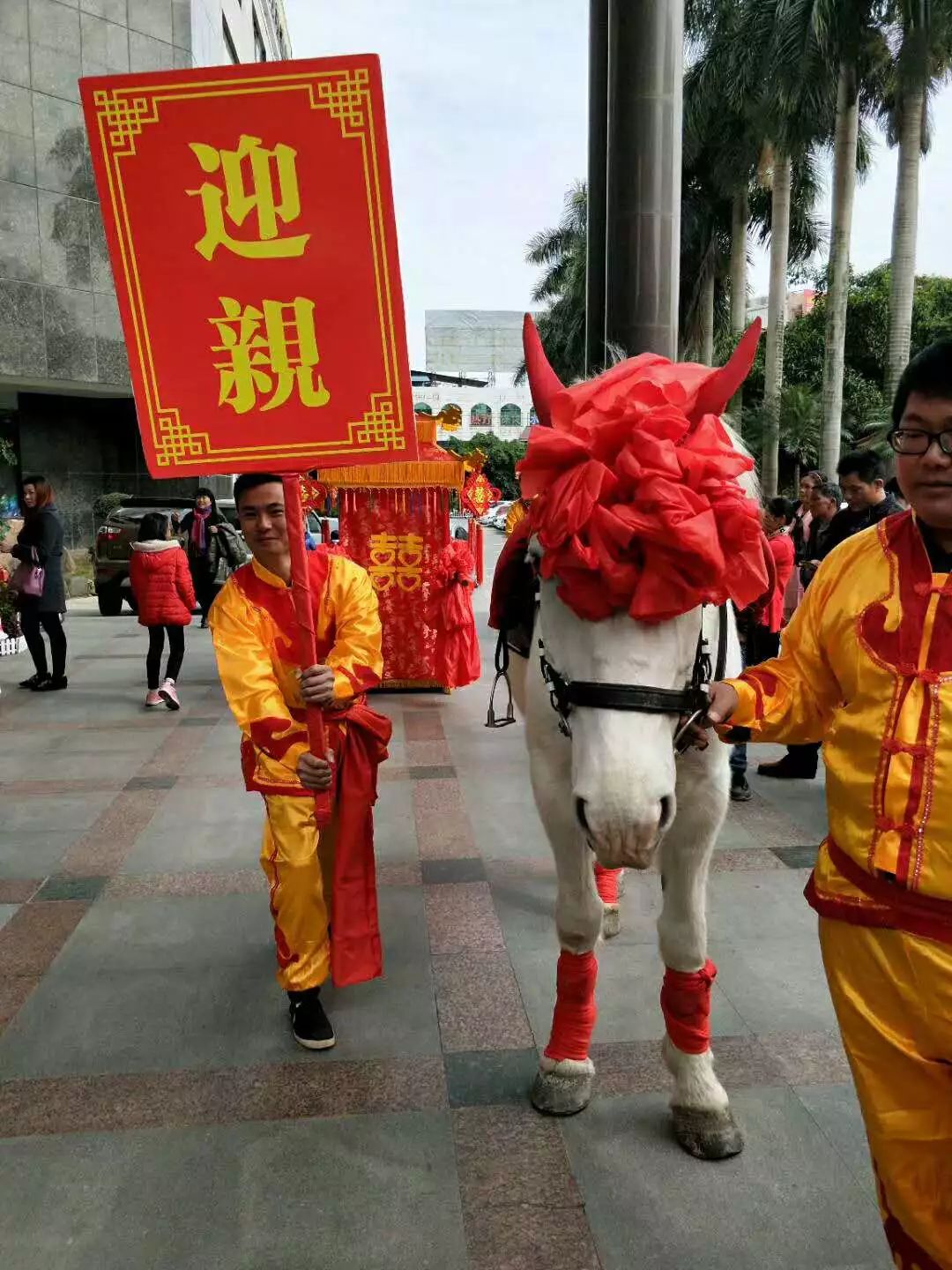 北流惊现白马王子迎亲大场面刷爆北流朋友圈