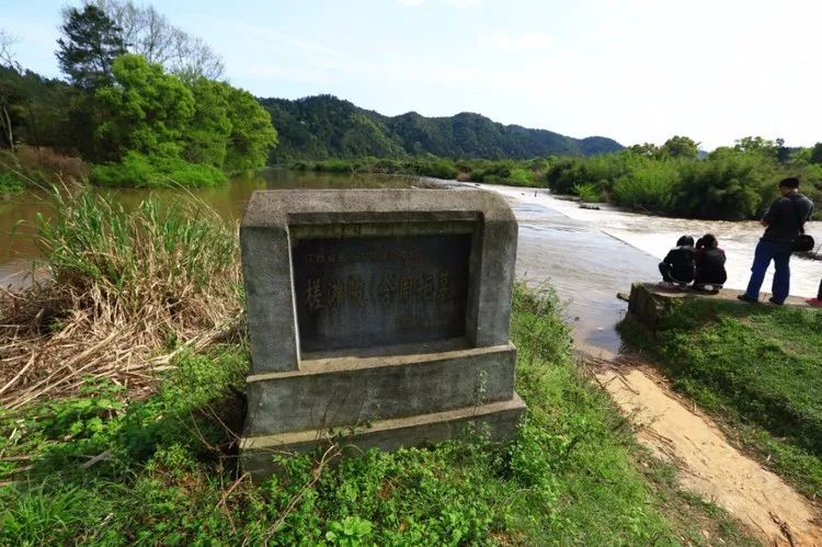 泰和槎滩陂世界灌溉遗产江南都江堰