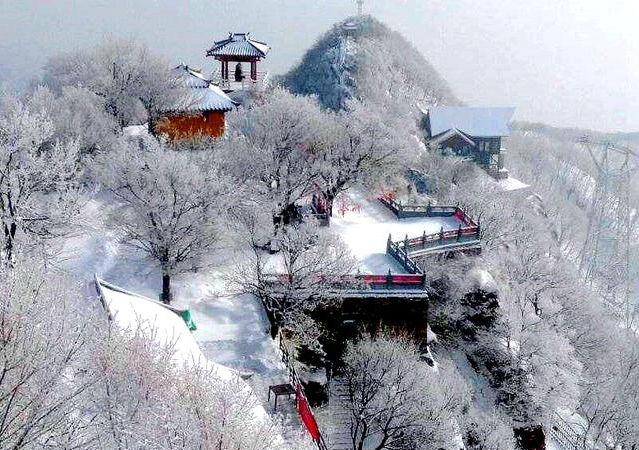 旅游解读赏雪观雾凇休闲采摘新年花式营销开启济源旅游开门红