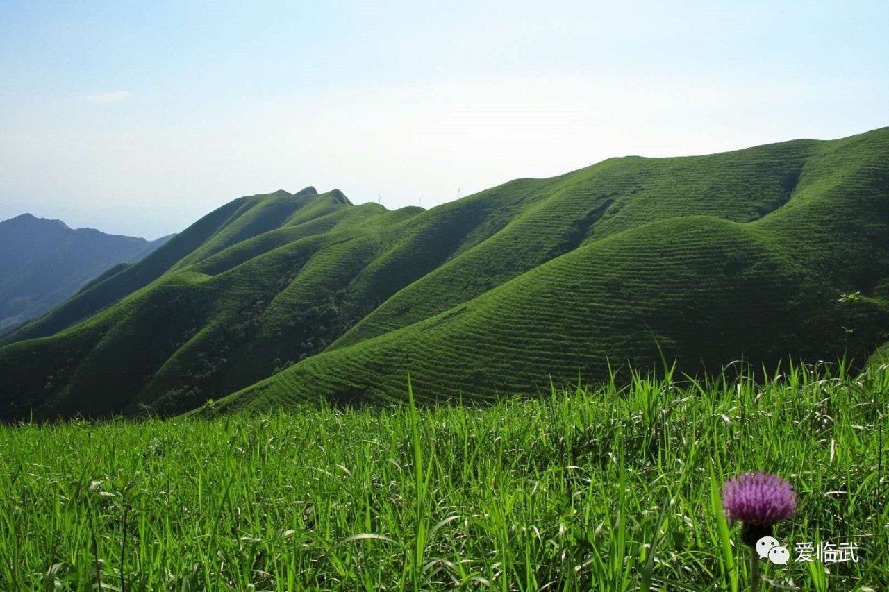 临武县旅游景点通天山图片