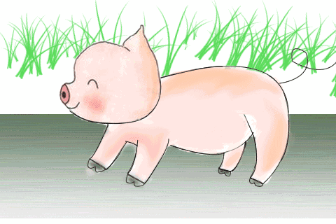 一只猪跑过来的动图图片