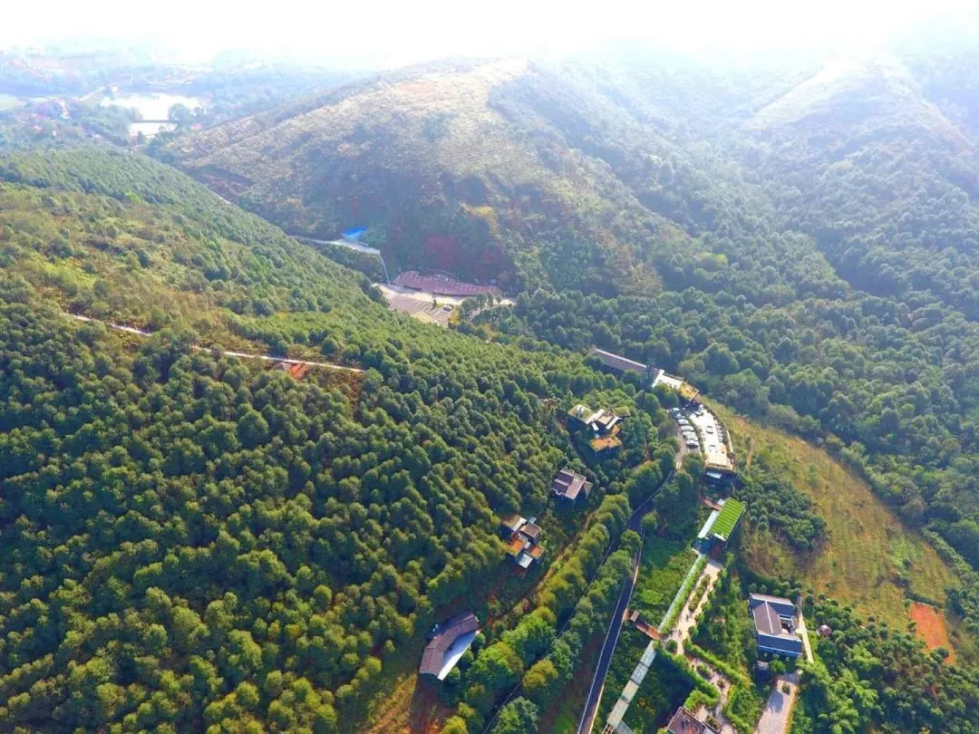 走近彭山從三千畝荒山到現在4a景區五星級休閒莊園