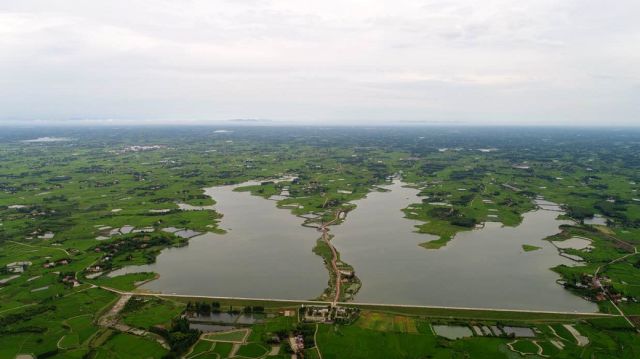 太山,龔廟三村交界處,是江漢平原典型的人工庫塘溼地