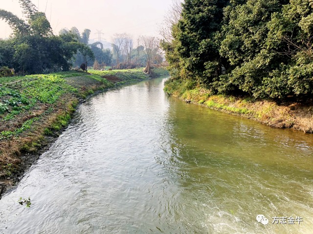 李冰治水之后,流经成都平原的岷江河道进一步疏密有致,最终形成两江珥