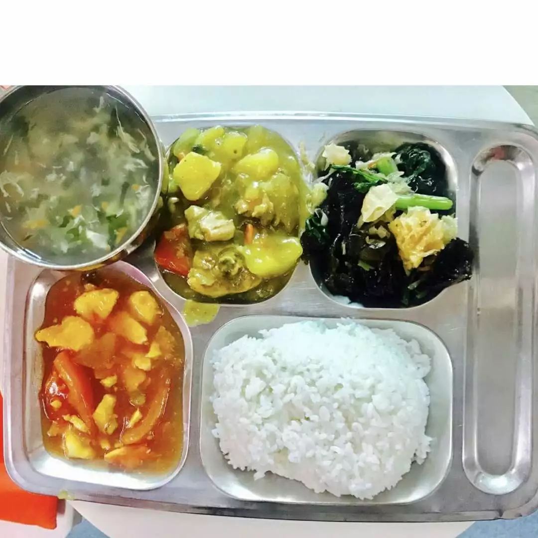学生营养午餐美篇图片