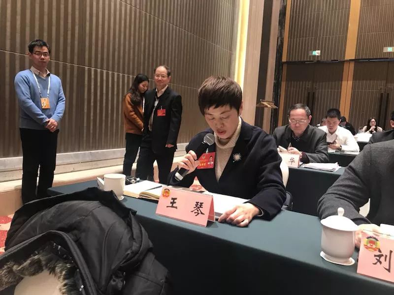 【永业行】副总裁王琴参加政协武汉市第十三届委员会第二次会议