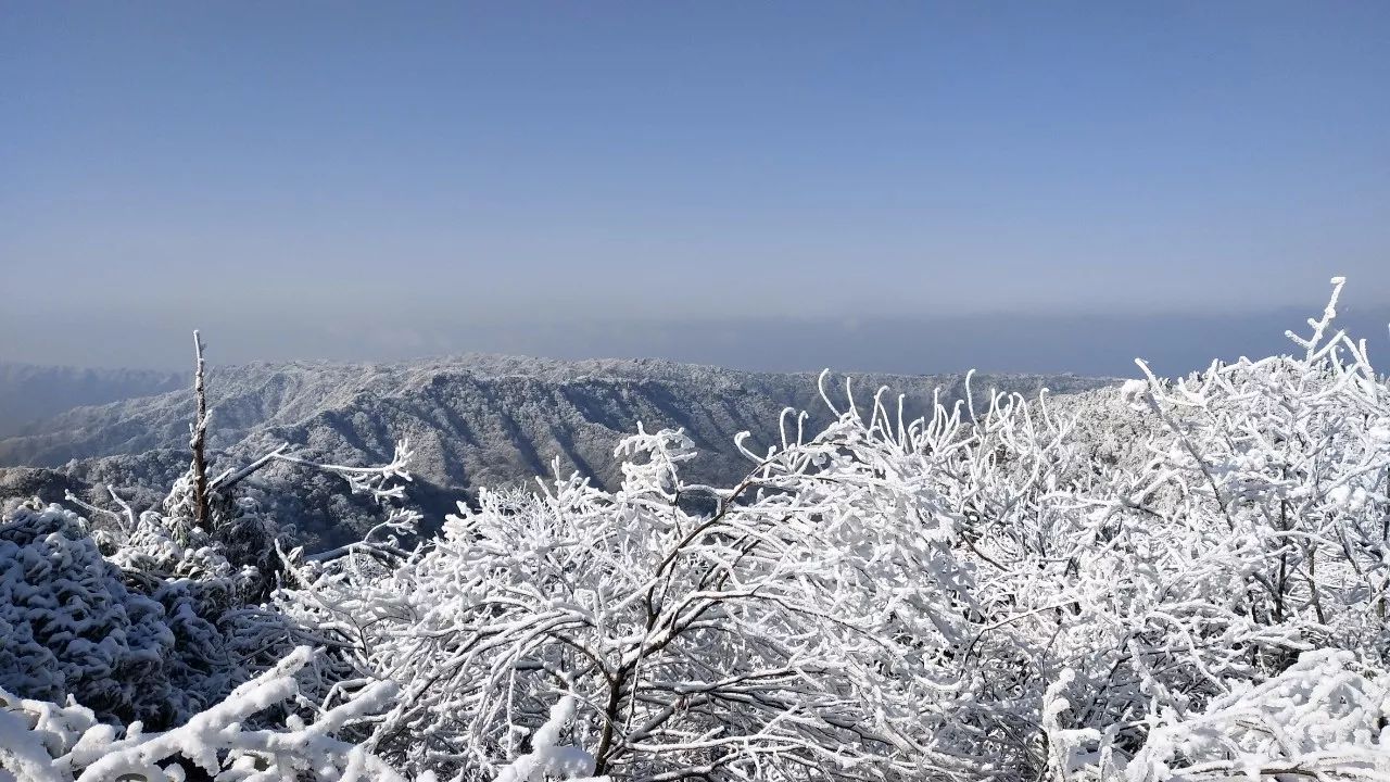 以上就是小编总结的石柱2017年发生的部分"大事件"可爱的人儿们哪件事