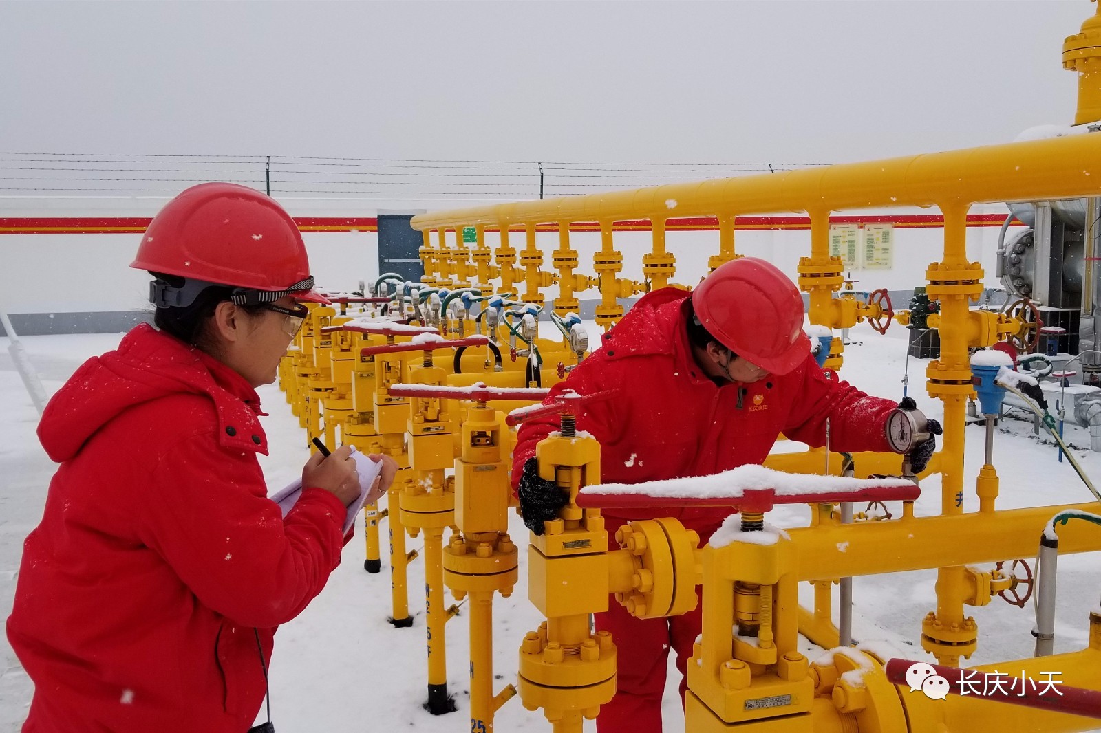 【冬供进行时-20°不分昼夜,汗流雨下,他们这样图个啥?