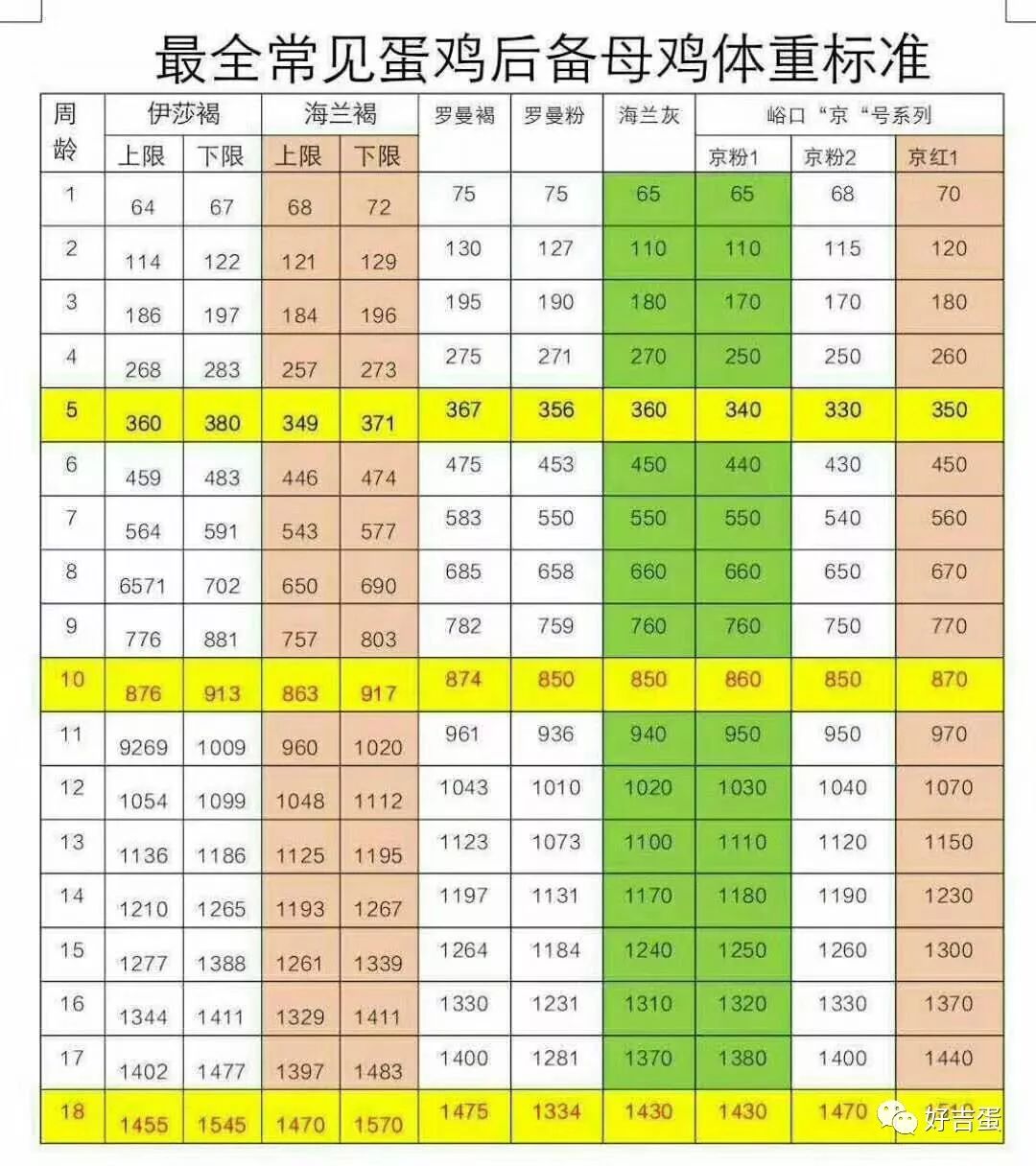 来看一看咱们家的鸡体重和胫长达标吗