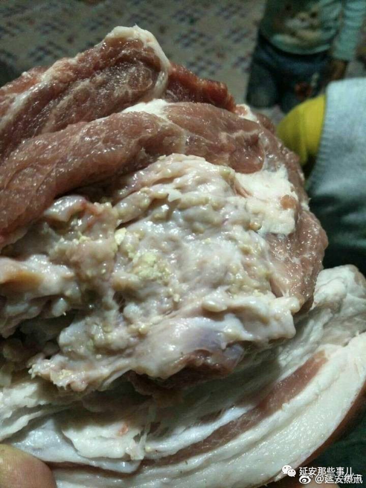 米猪肉恐怖图片图片