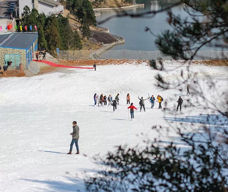 玉苍山滑雪场位于苍南县桥墩镇境内玉苍山国家森林公园景区的华玉山庄