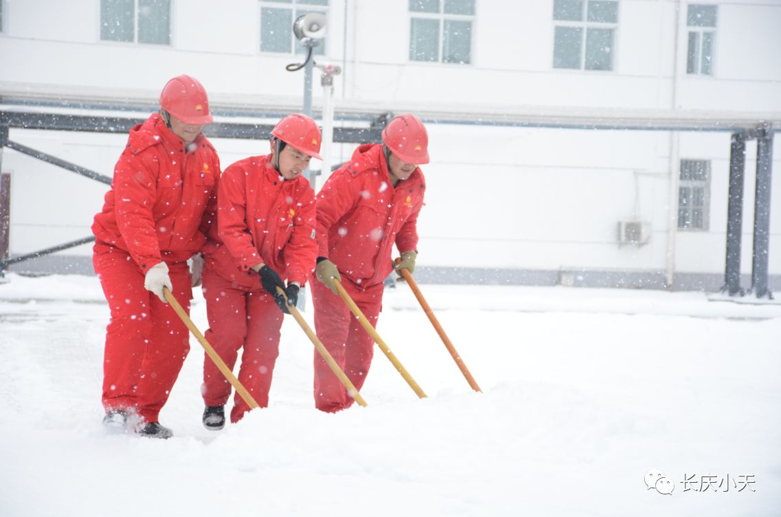 【冬供进行时-20°不分昼夜,汗流雨下,他们这样图个啥?