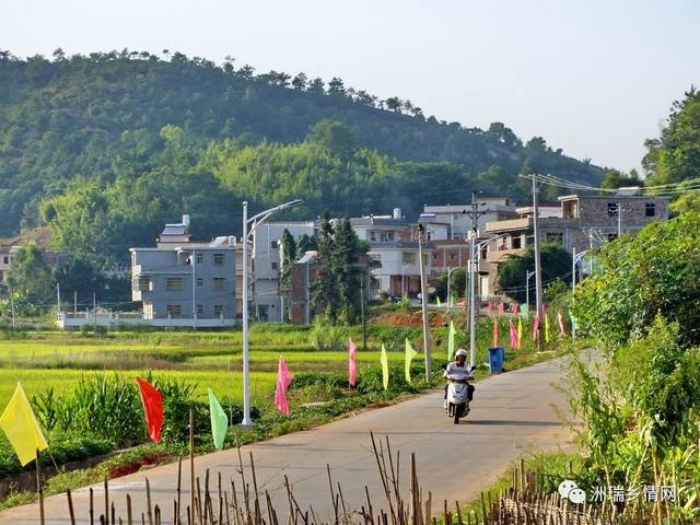 桃源镇桃锋村,新东村,团结村,桃星村 三河镇白石村,余里村,先觉村,源