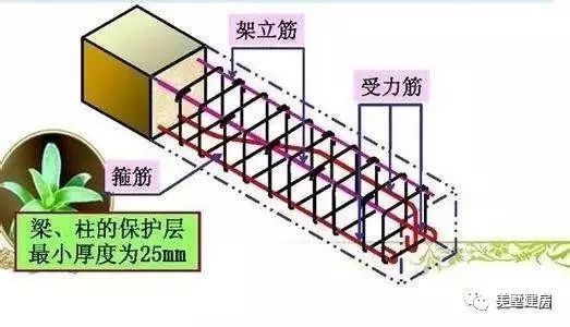 梁钢筋骨架图图片