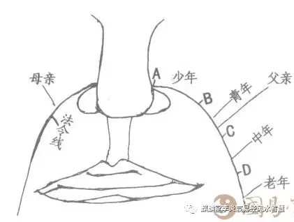 面相圖解相法令絕招分解