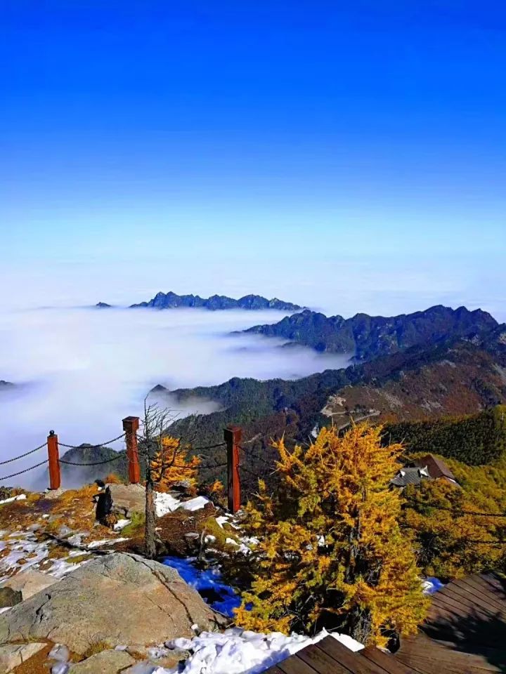 秦岭国家公园特色图片