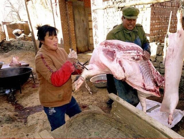 农村女屠夫杀年猪图片