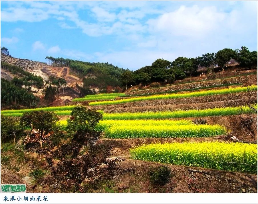 泉港涂岭黄田景区图片