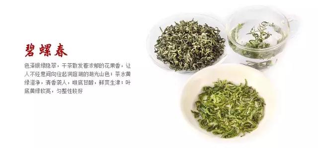 天下最鮮嫩柔美的綠茶洞庭碧螺春