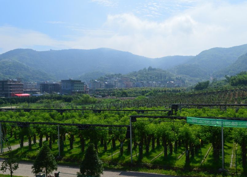 緊臨樂清市大荊鎮,位於下山頭村