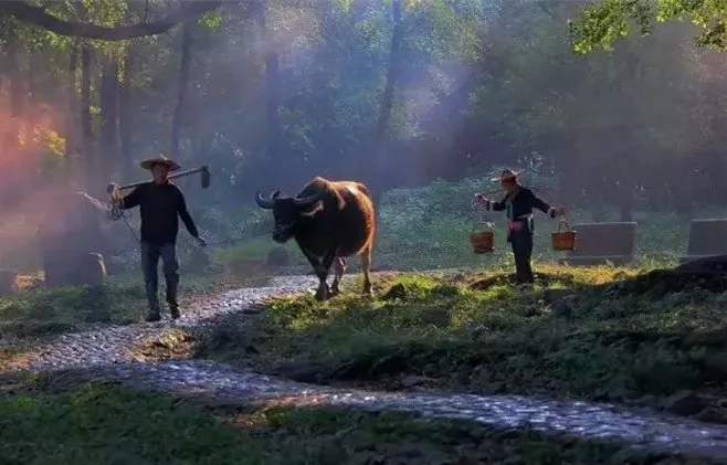 如果生活在鄉村哪些場景是你最嚮往的