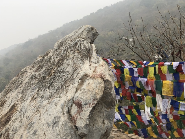 王舍城灵鹫峰图片