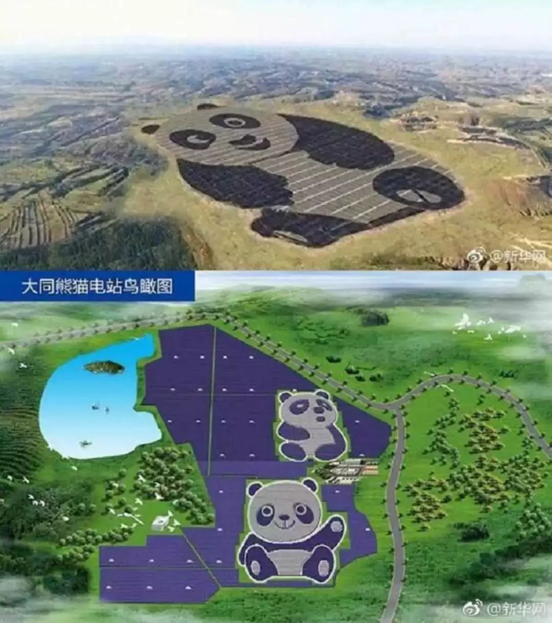 招商新能源熊猫电站项目有意落户奇台