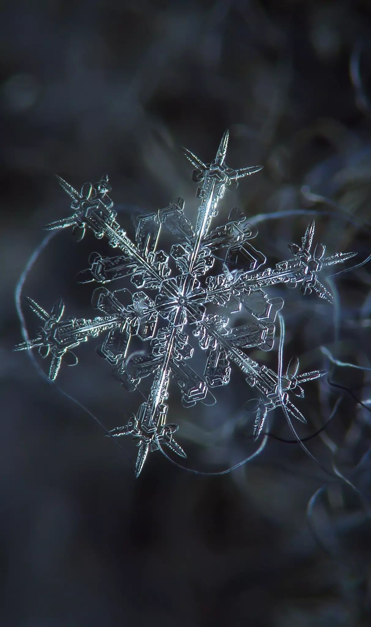 雪花长什么样子画面图片