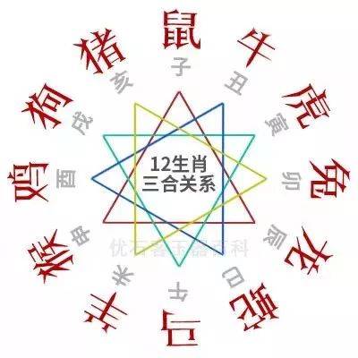 属相六合关系:子丑,六合.属鼠与属牛寅亥,六合.属虎与属猪卯戌,六合.