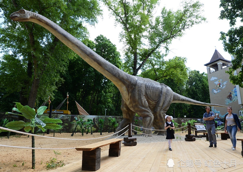 俄罗斯古生物学家发现恐龙新物种,并为其命名