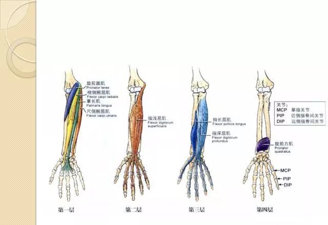 干货上肢疾病针刀治疗详细解刨