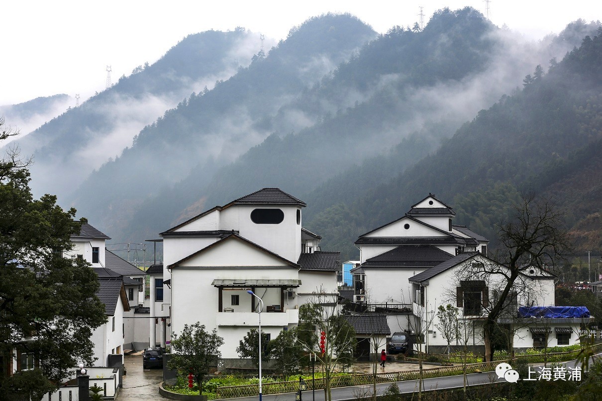 浙江桐乡最美乡村图片