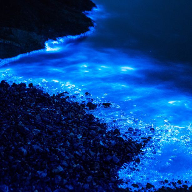 蓝色发光的海水图片