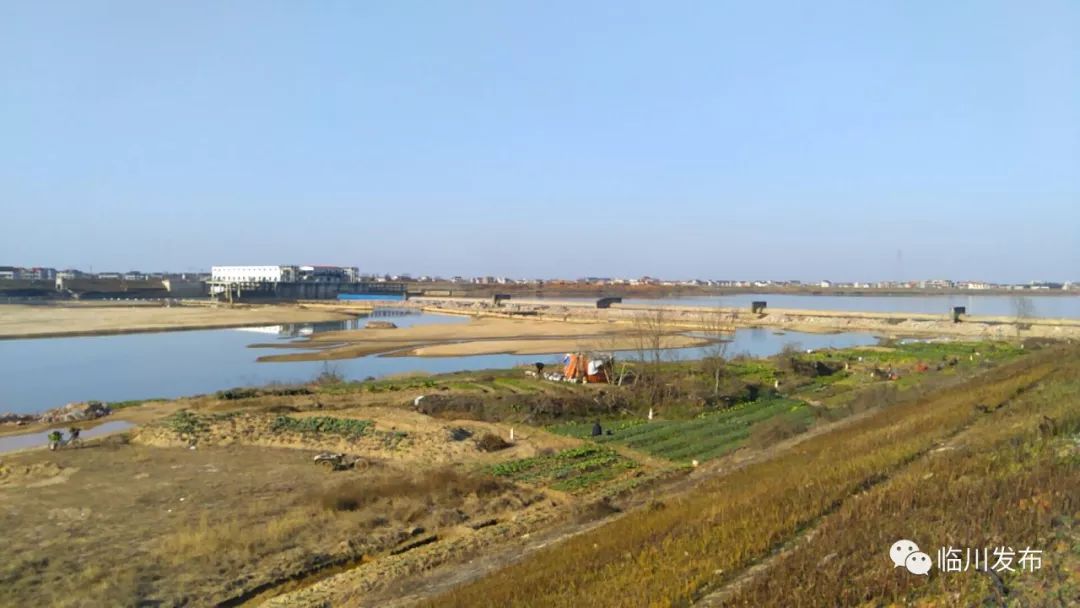 三江溼地公園汝水濱河公園市植物園計劃今年開工