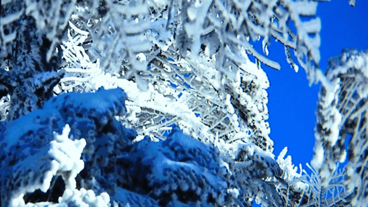 唯美冬天雪景动态壁纸图片