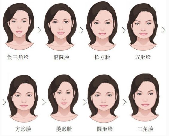 八大风格脸型坐标图图片