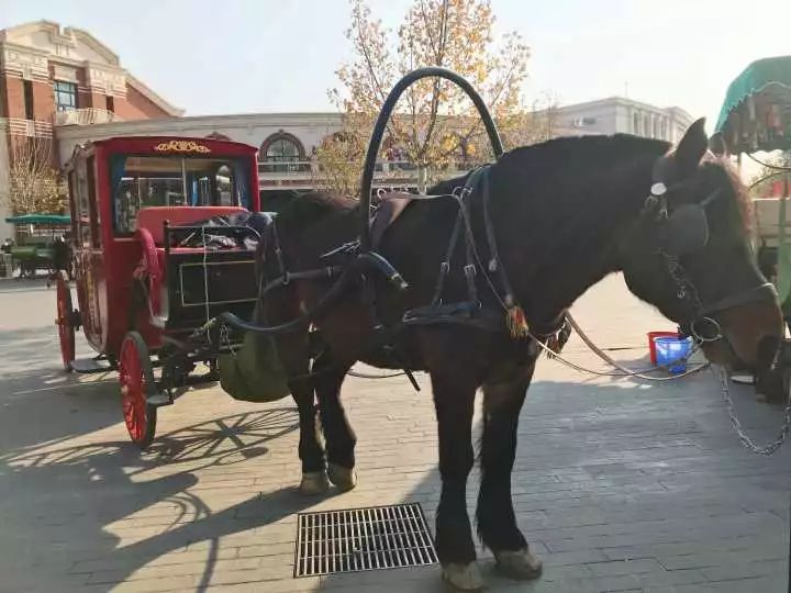 騎行約 19 分鐘,沿途還會經過張學良的故居