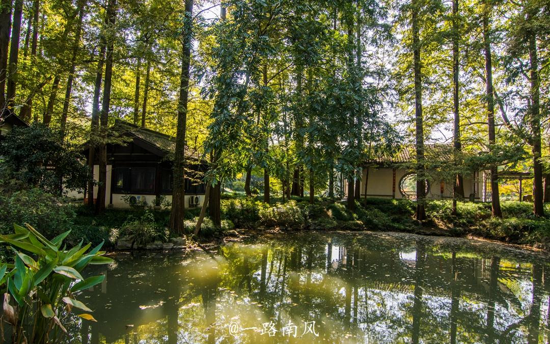 隱藏在杭州城西的植物園風景如畫,很多外地人卻只會去西湖