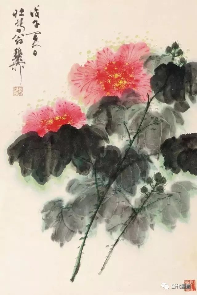 齐白石芙蓉花图片图片