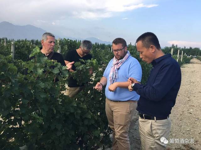 有法国留学背景和酿酒经验的中国著名女酿酒师高源就是在一场讲座中被