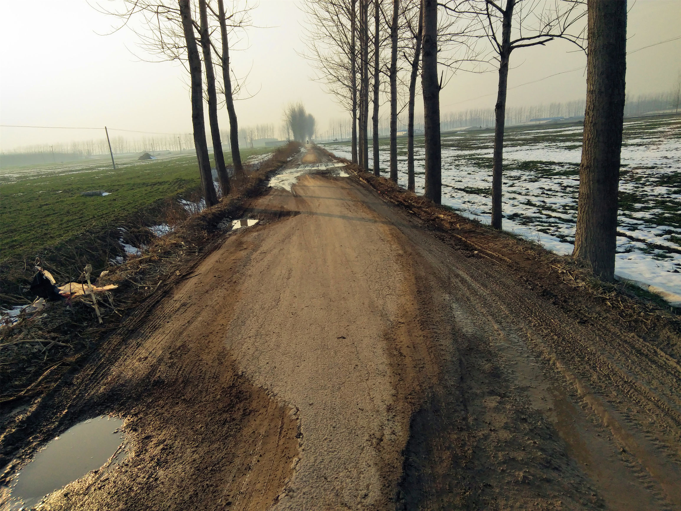 村庄道路断面图片