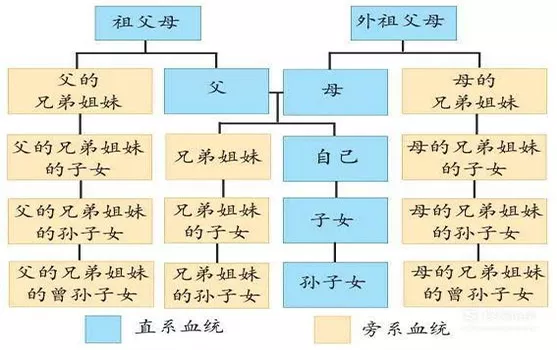 直系血親包括哪些人?