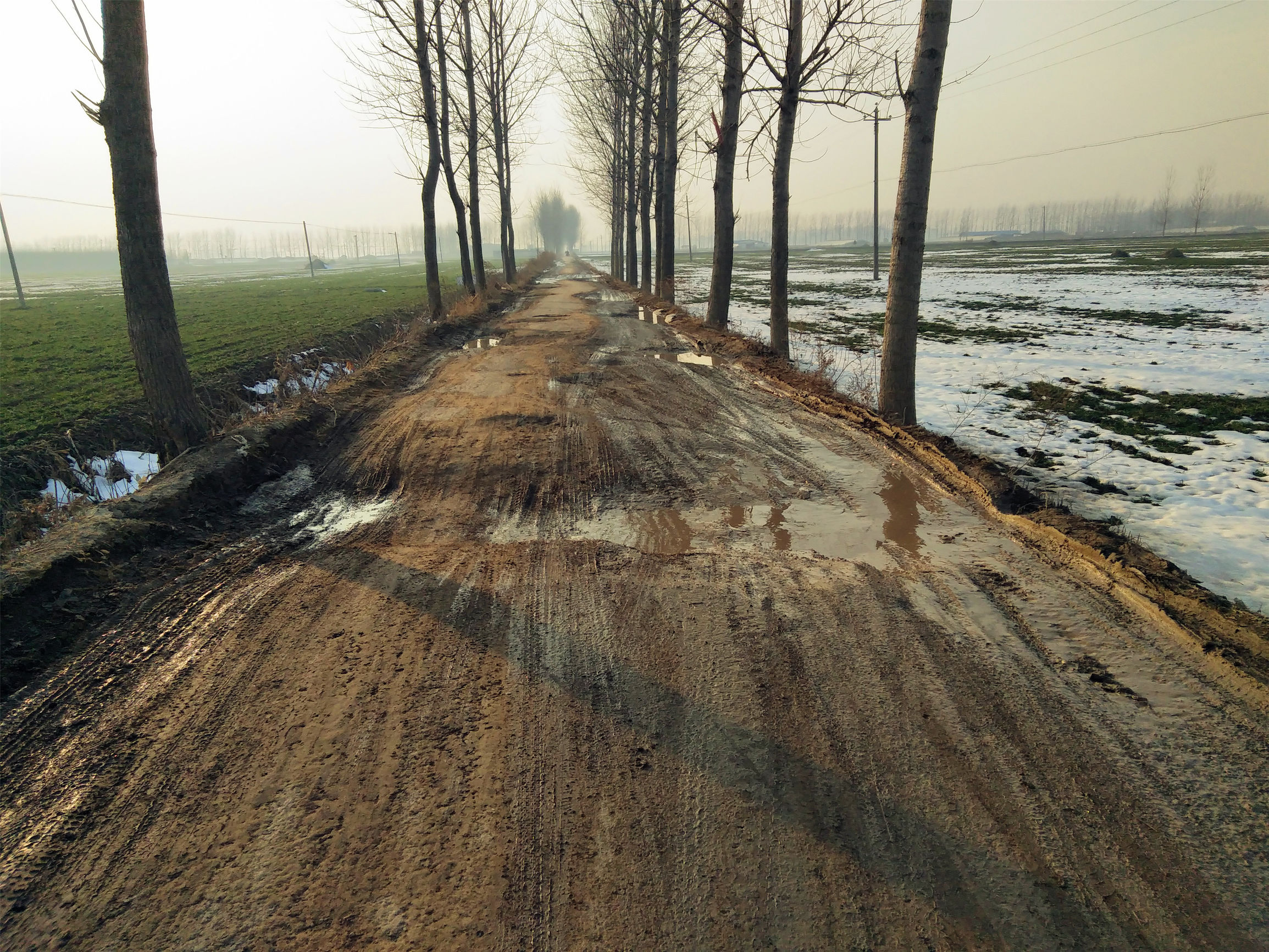 村庄道路断面图片